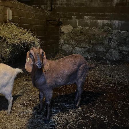 Hotel Tor Royal Farm Princetown Zewnętrze zdjęcie